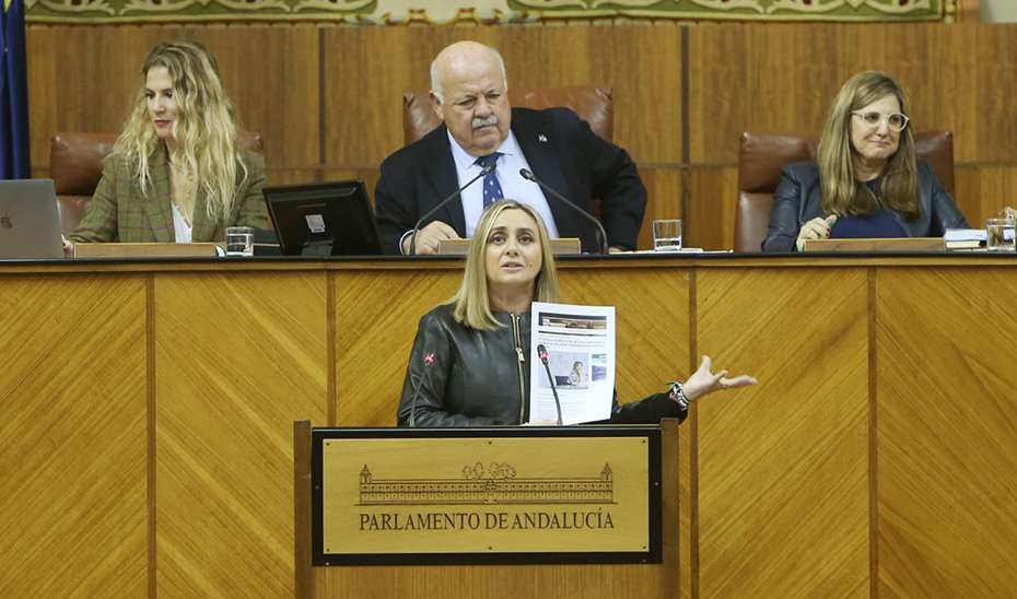La consejera de Fomento, Marifrán Carazo, durante su intervención en el pleno del Parlamento.